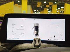 XPeng P7 480N - ფოტო 11