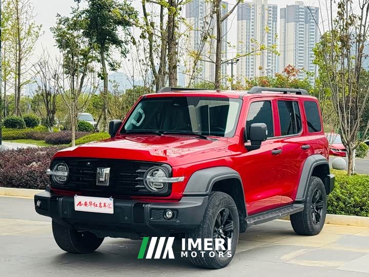 Tank 300 Off-Road Edition 2.0T Conqueror - ავტომობილი ჩინეთიდან