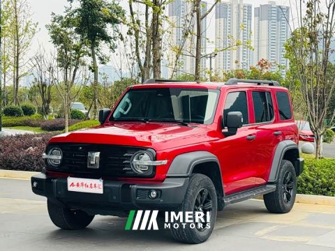 2022 Tank 300 Off-Road Edition 2.0T Conqueror - ავტომობილი ჩინეთიდან