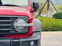 Tank 300 Off-Road Edition 2.0T Conqueror - ფოტო 6