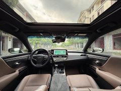 Lexus ES 300h Premium Edition - ფოტო 6