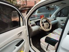 Leapmotor Leapo T03 310 Comfort Edition - ფოტო 12