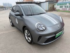 ORA Good Cat 430km Deluxe Edition - ფოტო 3