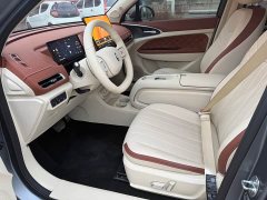 ORA Good Cat 430km Deluxe Edition - ფოტო 5