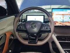 BYD Song Pro New Energy DM-i 110km Flagship Pro - ფოტო 10