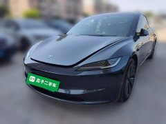 Tesla Model 3 Rear-Wheel Drive - ფოტო 1