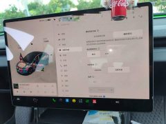 Tesla Model 3 Rear-Wheel Drive - ფოტო 20