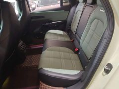 FAW Hongqi EH7 600 Pro Honor Edition - photo 16