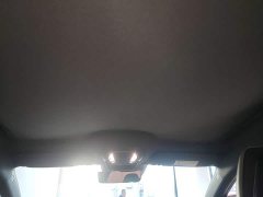 FAW Hongqi EH7 600 Pro Honor Edition - photo 17