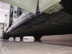FAW Hongqi EH7 600 Pro Honor Edition - photo 20