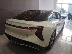 FAW Hongqi EH7 600 Pro Honor Edition - photo 6