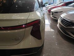 FAW Hongqi EH7 600 Pro Honor Edition - photo 7
