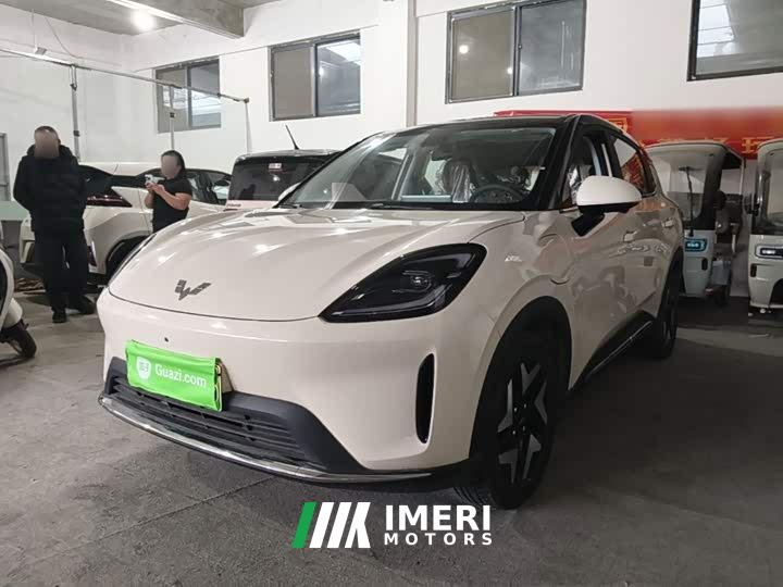Wuling Bingo S 325km Flagship