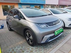 BYD Dolphin 420km Fashion Edition - ფოტო 3