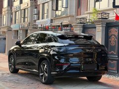 BYD Sealion 07 EV 610 Long Range Edition - photo 9