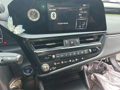 Lexus ES 300h Premium Edition - ფოტო 12