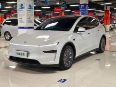 Tesla Model Y L Long Range All-Wheel Drive - ფოტო 1