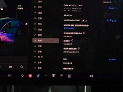 Tesla Model Y L Long Range All-Wheel Drive - ფოტო 12