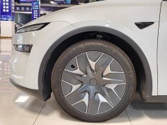Tesla Model Y L Long Range All-Wheel Drive - ფოტო 4