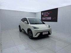 BYD Seagull Glory Edition 405km Flying Edition - ფოტო 2