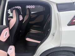 BYD Seagull Glory Edition 405km Flying Edition - ფოტო 5