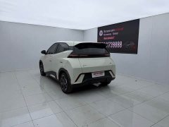 BYD Seagull Glory Edition 405km Flying Edition - ფოტო 8