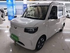 Wuling Zhiguang New Energy 305km Aspiring Edition - ფოტო 1