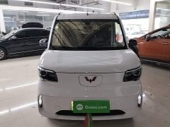 Wuling Zhiguang New Energy 305km Aspiring Edition - ფოტო 2