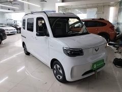 Wuling Zhiguang New Energy 305km Aspiring Edition - ფოტო 3