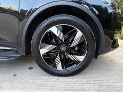 BYD Yuan Plus DM-i Champion Edition 112KM Honor Trim - photo 12
