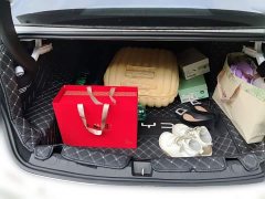 BYD Qin PLUS DM-i Smart Drive 128KM Entry-Level - photo 15