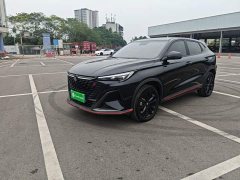 Changan X5 PLUS 1.5T DCT Pioneer Trim - photo 1