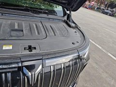 Voyah Avatr Dream Car 0-Carbon Edition Dream Smart Enjoyment Range Package 605km - ფოტო 19