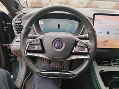 BYD Han EV 610KM AWD Qianshan Green Limited Edition - ფოტო 10