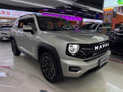 Haval Big Dog PLUS New Energy Hi4 150km Trendy EV Edition - ფოტო 3