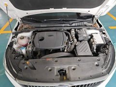 Geely Emgrand 4th Generation Champion Edition 1.5L CVT Luxury - ფოტო 16