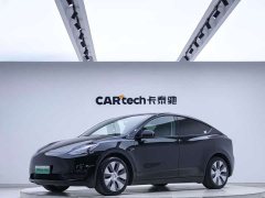 Tesla Model Y Standard Range RWD - ფოტო 1