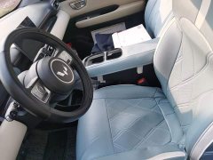 Wuling Binguo PLUS 510km Flagship Four-Seater - фото 11