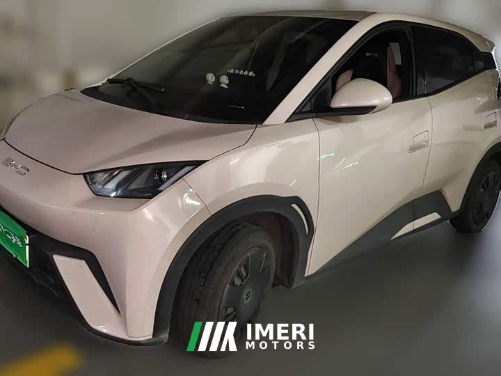 BYD Seagull Vitality Edition - ავტომობილი ჩინეთიდან