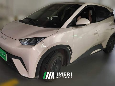 2023 BYD Seagull Vitality Edition - ავტომობილი ჩინეთიდან