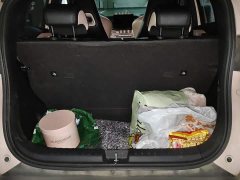 BYD Seagull Vitality Edition - ფოტო 20