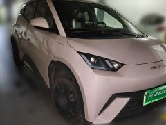 BYD Seagull Vitality Edition - ფოტო 3