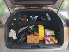 Geely Galaxy L7 1.5T 115km PLUS Longteng Edition - photo 15