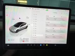 Tesla Model 3 Rear-Wheel Drive - ფოტო 11