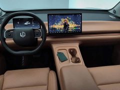 Leapmotor Leapo C10 530 Comfort Edition - photo 12