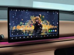Leapmotor Leapo C10 530 Comfort Edition - photo 13