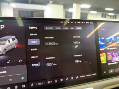 Li Auto L9 Max - ფოტო 20
