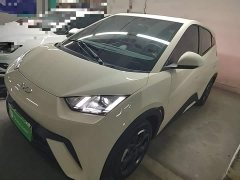 BYD Seagull 405km Flying Edition - ფოტო 1