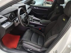 Geely Xingrui 2.0T Diesel Space Edition - ფოტო 14