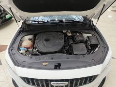 Geely Xingrui 2.0T Diesel Space Edition - ფოტო 19